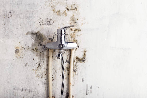 Best Mold Remediation for Schools in , WI