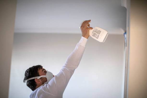 Best Industrial Mold Remediation in , WI